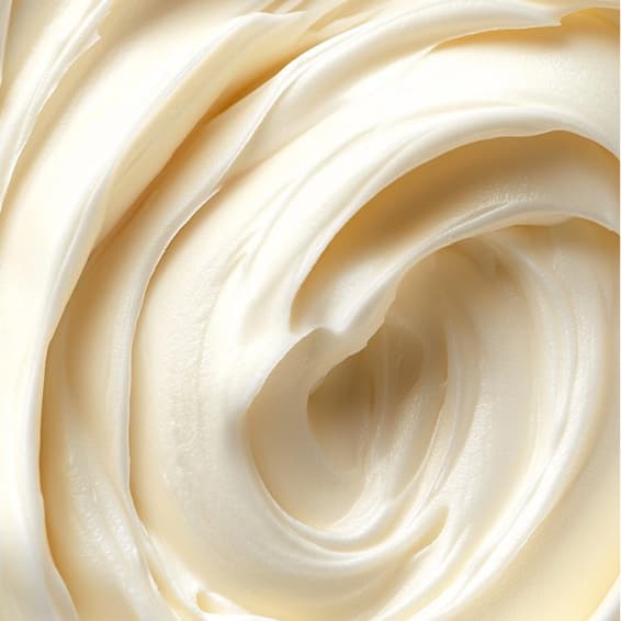 Happy Holidays! at Zylah Carden in Pace, FL