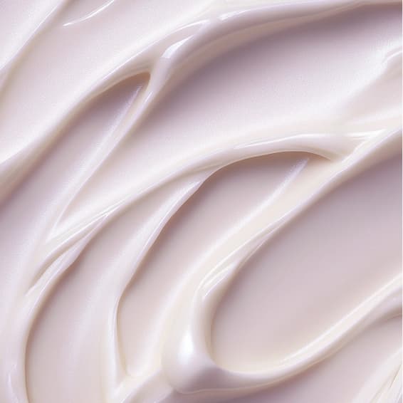 Calm and Clarity at Zylah Carden in Pace, FL