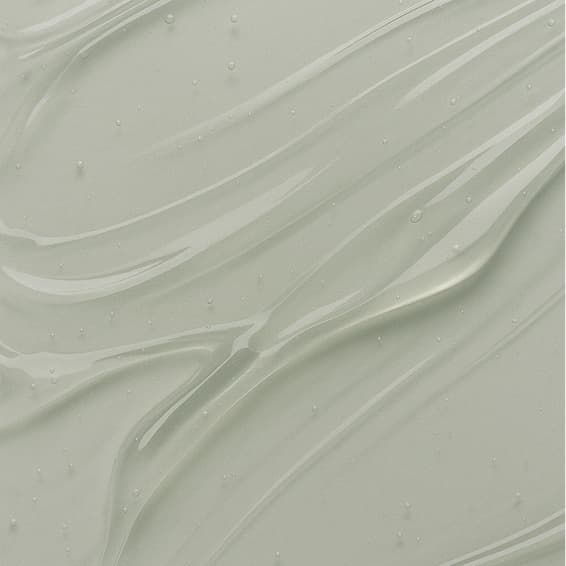 The Night Before Christmas at Zylah Carden in Pace, FL